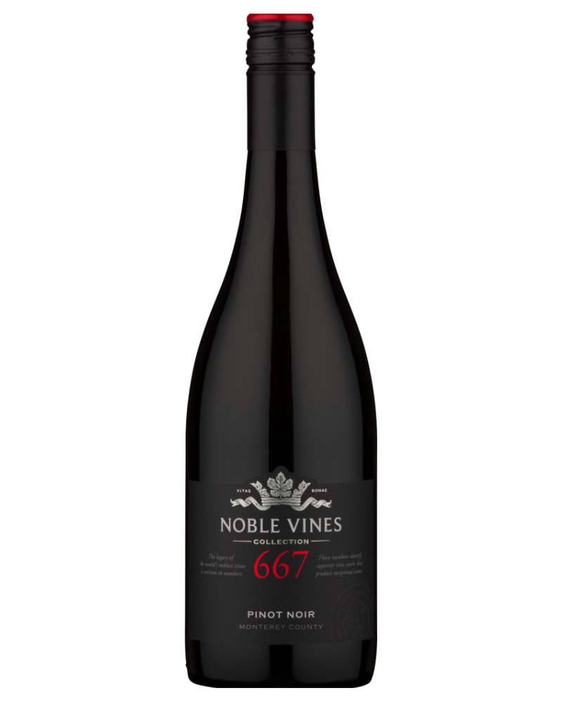 Noble Vines Pinot Noir 667