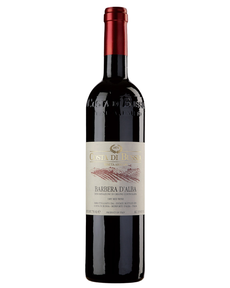 Costa di Bussia Barbera d'Alba
